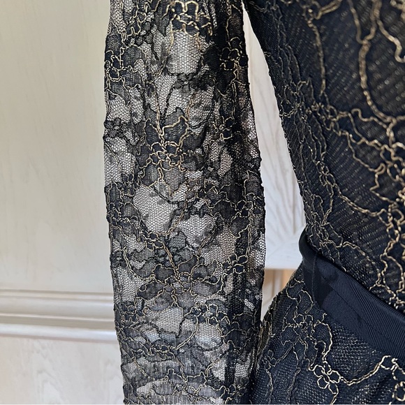 DKNY Metallic Lace Overlay V-Neck Dress With Sheer Sleeves - Picture 5 of 16